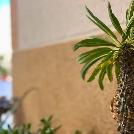Apartmán Charming Flat With Swimming Pool 500 M From Playa Del Cura! Torrevieja