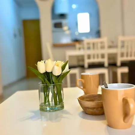 Charming Flat With Swimming Pool 500 M From Playa Del Cura! Apartmán Torrevieja